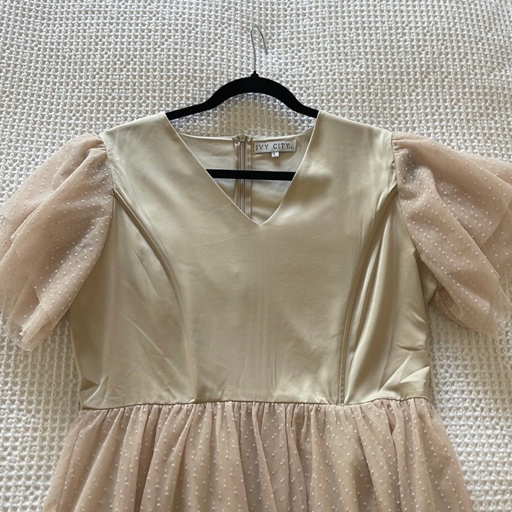 Ivy City Party Dress size Large